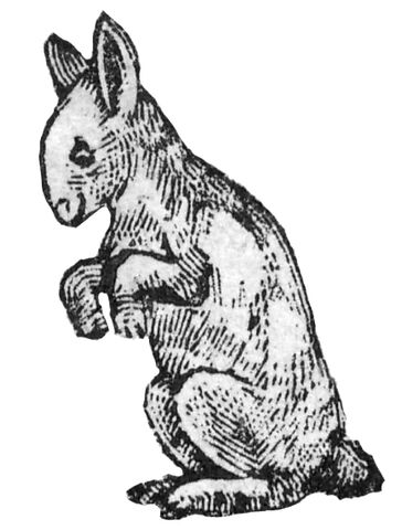 File:Woodcut-rabbit.jpg