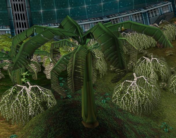 File:Mangotana.png