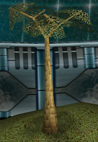 File:Amadinka.png