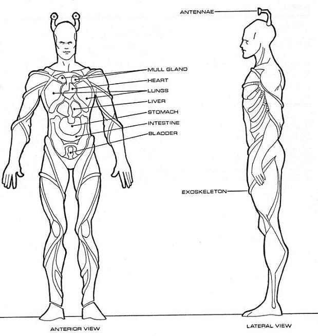 Category:Humanoid species | Memory Beta, non-canon Star Trek Wiki