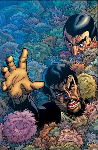 File:Tribbles spotlight.jpg