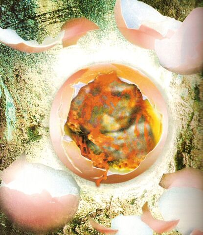 File:Horta hatchling.jpg