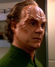 Phlox.jpg
