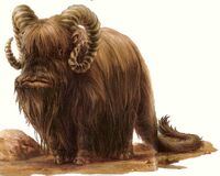 Bantha NEGAS.jpg