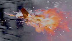 Biggs death