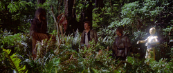 Finding the dead animal-ROTJ