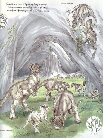 File:Tauntauncave-woswfg.jpg