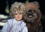 Cindelwicket
