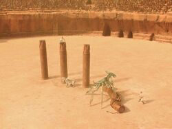 Petranaki Arena.jpg