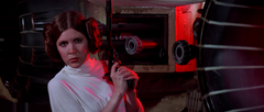 LeiaSupportsGunRights-ANH.png
