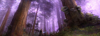 TythonForestConcept-TOR.jpg