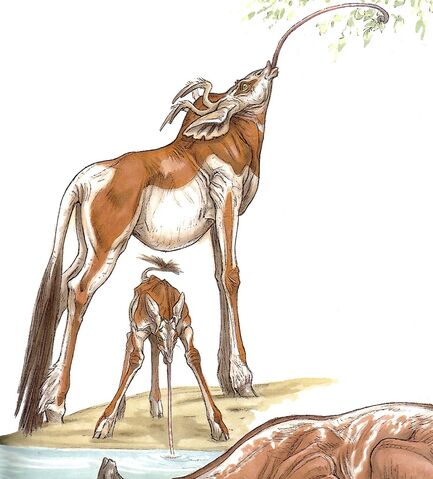 File:Ikopi Wildlife.jpg