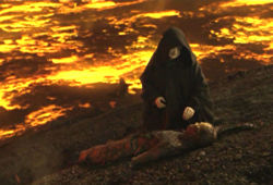 250px-Recoveringvader.jpg