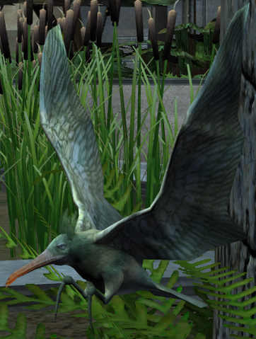 File:Flit.png
