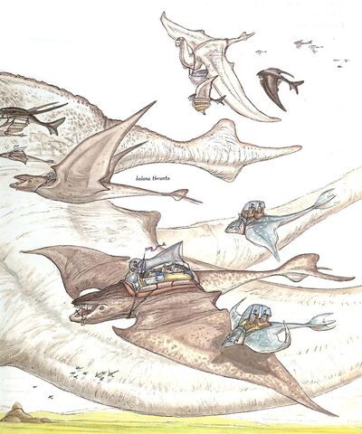 File:Thrantas-woswfg.jpg