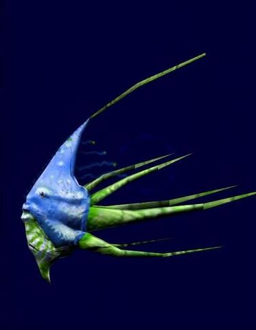 File:Endorbuzzfish.jpg