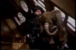 Stuffed Bantha.jpg