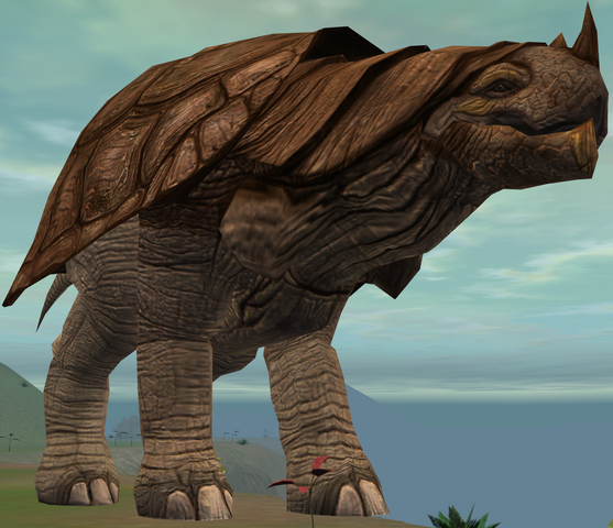 File:Torton.png