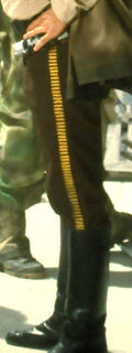 Bloodstripe.jpg