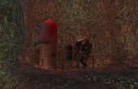 GiantCaveVeermok