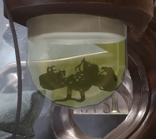 File:KlatooinePaddyFrogs BF.png