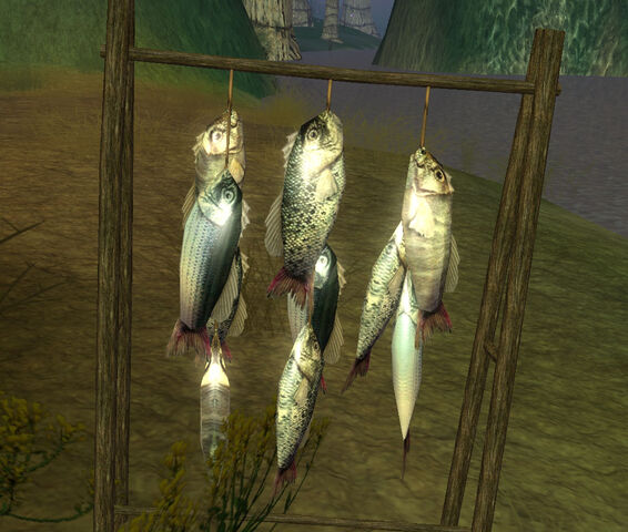 File:KashyyykFishDisplay.jpg