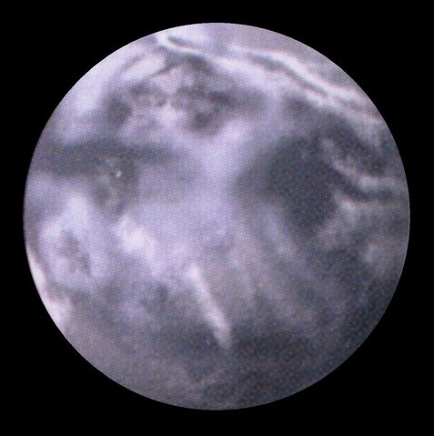 File:Ison.jpg