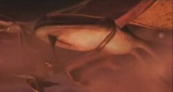 Neebray Manta.jpg