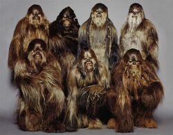 Wookiees.jpg