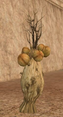 File:Yellow pod weed-SWG.jpg