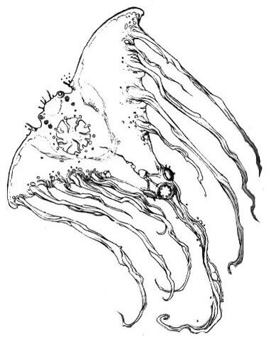 File:Oswaft.jpg