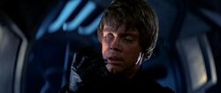 Lukereflection.jpg