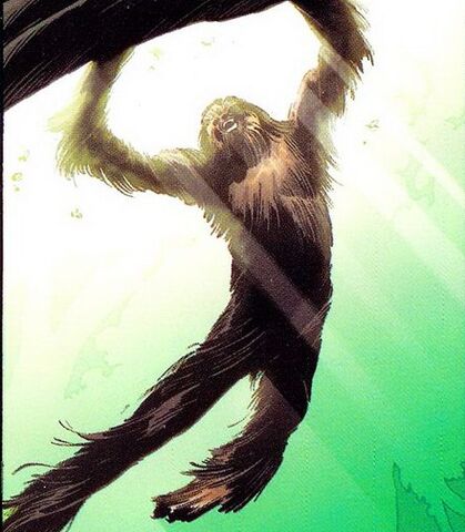 Fájl:Chewbacca 004.jpg