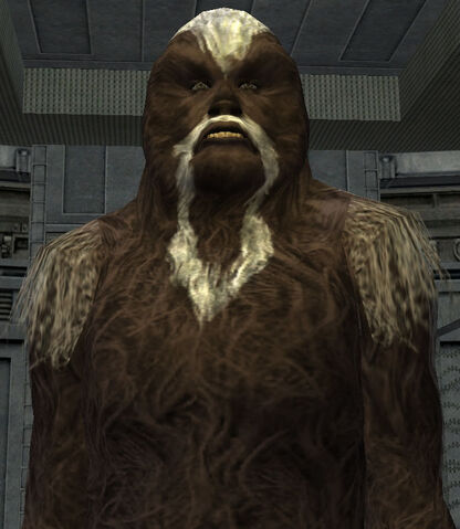 File:Syirlabradawk.jpg