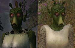 VrallaFemale