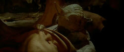 Yoda gone.jpg