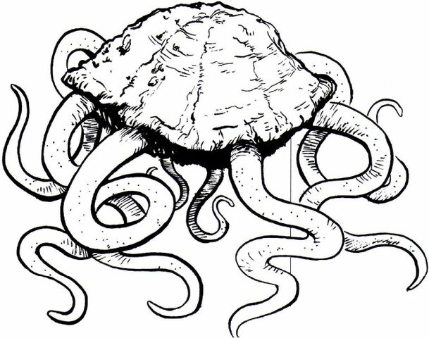 File:Orgon AE.jpg