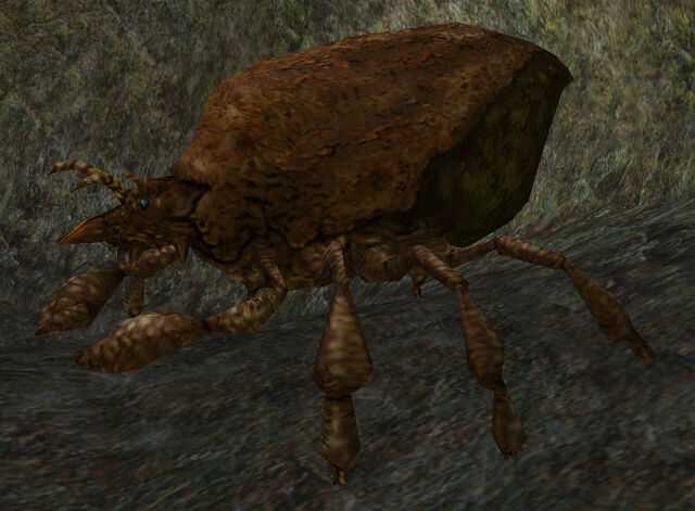 File:GiantBarkMite.jpg