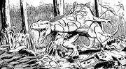Gorsh-swamp