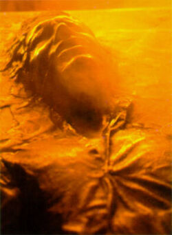 Carbonite.jpg