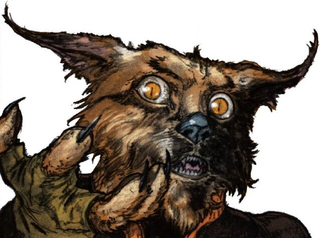 File:Toki.jpg