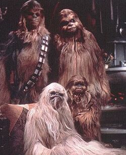 Chewie familie.jpg