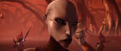 Ventress Dathomir.jpg