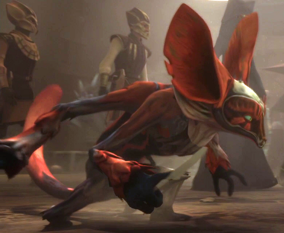 File:Unidentified Momong.png
