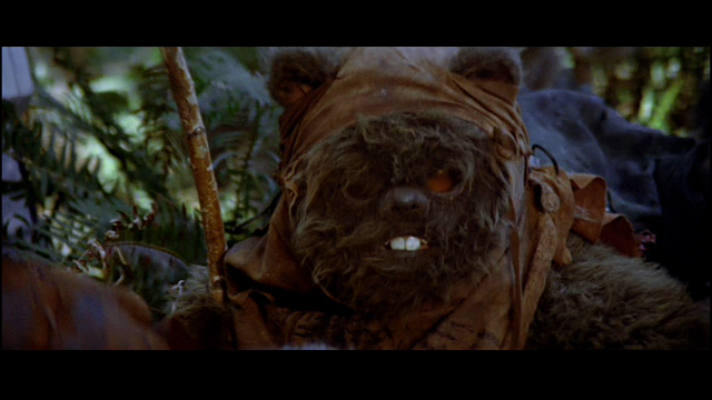 File:Another Ewok.png