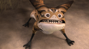 Surprised Loth-cat