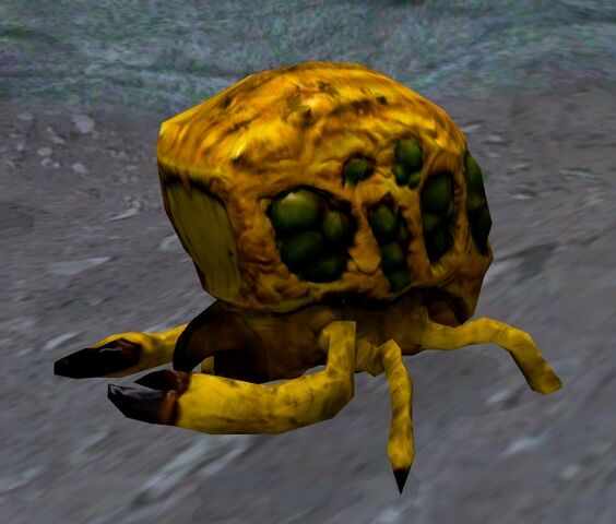File:Uwari beetle.jpg