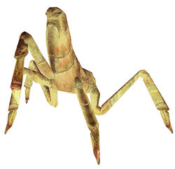 Kinrath.jpg
