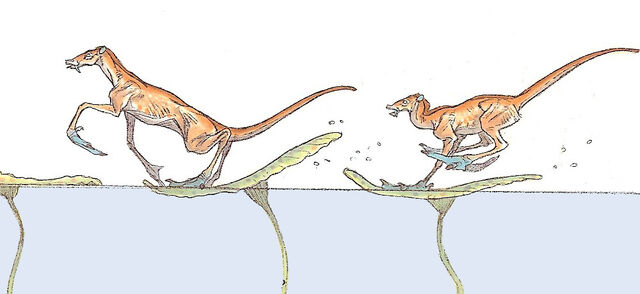 File:Pom hopper3-woswfg.jpg