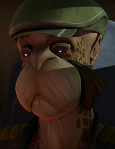 File:Jay Igno.jpg